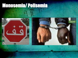Monosemia/ Polisemia
 
