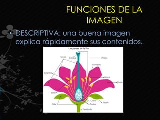 FUNCIONES DE LA
IMAGEN
• DESCRIPTIVA: una buena imagen
explica rápidamente sus contenidos.
 