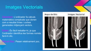 Imatges Vectorials 
Generació: L’ordinador fa càlculs 
matemàtics complicats que donen 
com a resultat línies i corbes 
generades mitjançant vectors. 
Edició: És fàcil treballar-hi, ja que 
l’ordinador identifica les formes només 
fent-hi clic. 
Pes en Disc: Pesen relativament poc. 
 