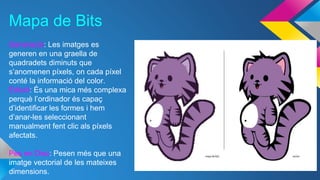 Mapa de Bits 
Generació: Les imatges es 
generen en una graella de 
quadradets diminuts que 
s’anomenen píxels, on cada píxel 
conté la informació del color. 
Edició: És una mica més complexa 
perquè l’ordinador és capaç 
d’identificar les formes i hem 
d’anar-les seleccionant 
manualment fent clic als píxels 
afectats. 
Pes en Disc: Pesen més que una 
imatge vectorial de les mateixes 
dimensions. 
 