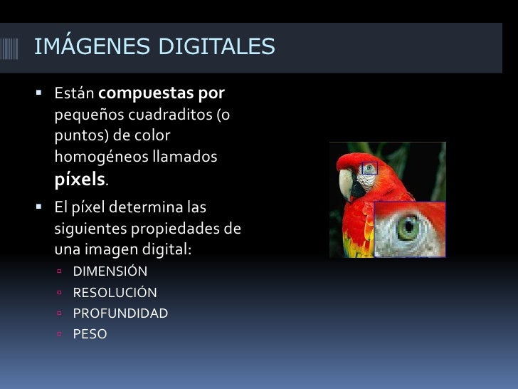 La imagen digital La imagen digital