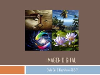 IMAGEN DIGITAL
Elida Del C Castillo 4-768-71
 