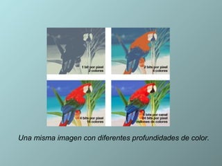 Una misma imagen con diferentes profundidades de color.
 