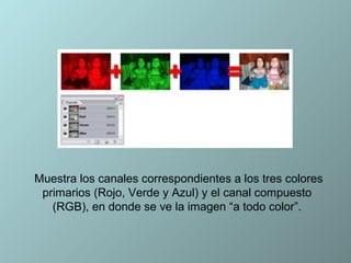 Muestra los canales correspondientes a los tres colores
 primarios (Rojo, Verde y Azul) y el canal compuesto
   (RGB), en donde se ve la imagen “a todo color”.
 