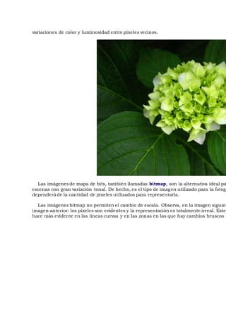 variaciones de color y luminosidad entre píxeles vecinos.
Las imágenes de mapa de bits, también llamadas bitmap, son la alternativa ideal pa
escenas con gran variación tonal. De hecho, es el tipo de imagen utilizado para la fotogr
dependerá de la cantidad de píxeles utilizados para representarla.
Las imágenes bitmap no permiten el cambio de escala. Observa, en la imagen siguien
imagen anterior: los píxeles son evidentes y la representación es totalmente irreal. Este
hace más evidente en las líneas curvas y en las zonas en las que hay cambios bruscos d
 