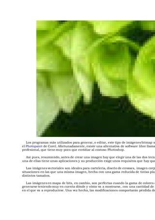 Los programas más utilizados para generar, o editar, este tipo de imágenes bitmap so
el Photopaint de Corel. Afortunadamente, existe una alternativa de software libre llama
profesional, que tiene muy poco que envidiar al costoso Photoshop.
Así pues, resumiendo, antes de crear una imagen hay que elegir una de las dos tecno
una de ellas tiene unas aplicaciones y su producción exige unos requisitos que hay que
Las imágenes vectoriales son ideales para cartelería, diseño de envases, imagen corp
situaciones en las que una misma imagen, hecha con una gama reducida de tintas plan
distintos tamaños.
Las imágenes en mapa de bits, en cambio, son perfectas cuando la gama de colores c
generarse teniendo muy en cuenta dónde y cómo va a mostrarse, con una cantidad de p
en el que va a reproducirse. Una vez hecha, las modificaciones comportarán pérdida de
 