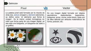 La imagen digital: Píxel vs vector | PPTX