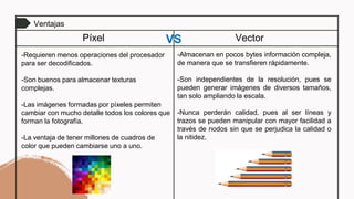 La imagen digital: Píxel vs vector | PPTX