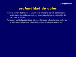 La imagen digital


               profundidad de color
Indica el número de bits que se utilizan para almacenar los valores tonales de
    una imagen. Así, podemos decir que una imagen tiene una profundidad de
    color de 4, 8, 16 bits...
Aunque en realidad pueden llegar a tener millones de valores tonales, podemos
   simplificarlos digitalmente utilizando una cantidad determinada de bits.
 
