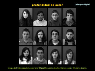 profundidad de color                                     La imagen digital




Imagen de 8 bits: cada pixel puede tener 64 posibles valores tonales: blanco, negro y 62 valores de gris.
 