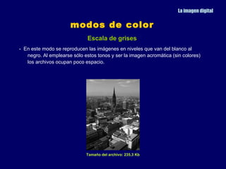 La imagen digital


                      modos de color
                              Escala de grises
- En este modo se reproducen las imágenes en niveles que van del blanco al
   negro. Al emplearse sólo estos tonos y ser la imagen acromática (sin colores)
   los archivos ocupan poco espacio.




                             Tamaño del archivo: 235,3 Kb
 
