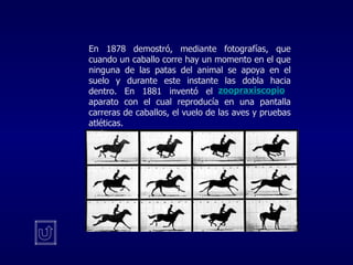 En 1878 demostró, mediante fotografías, que cuando un caballo corre hay un momento en el que ninguna de las patas del animal se apoya en el suelo y durante este instante las dobla hacia dentro. En 1881 inventó el  aparato con el cual reproducía en una pantalla carreras de caballos, el vuelo de las aves y pruebas atléticas.  zoopraxiscopio 