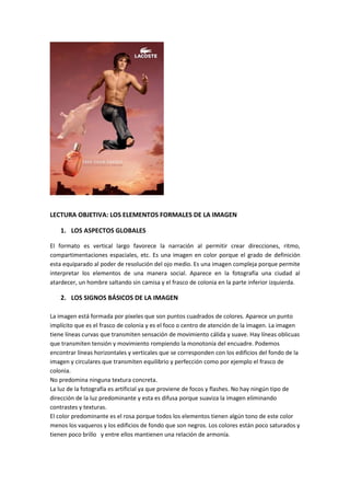 LECTURA OBJETIVA: LOS ELEMENTOS FORMALES DE LA IMAGEN
1. LOS ASPECTOS GLOBALES
El formato es vertical largo favorece la na...