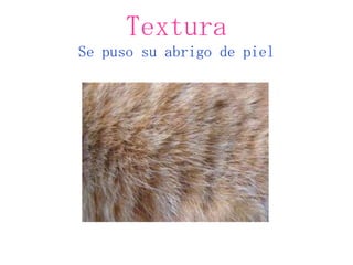 Textura
Se puso su abrigo de piel
 