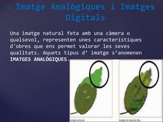 o Imatge Analògiques i Imatges 
Digitals 
Una imatge natural feta amb una càmera o 
qualsevol, representen unes característiques 
d'obres que ens permet valorar les seves 
qualitats. Aquets tipus d’ imatge s’anomenen 
IMATGES ANALÒGIQUES. 
 