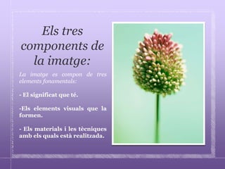 La imatge es compon de tres
elements fonamentals:
- El significat que té.
-Els elements visuals que la
formen.
- Els materials i les tècniques
amb els quals està realitzada.
 