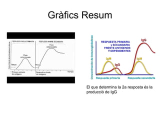 Gràfics Resum
El que determina la 2a resposta és la
producció de IgG
 