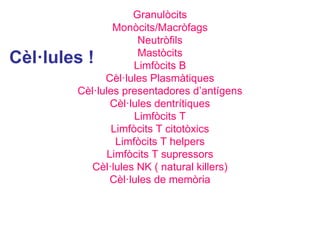Cèl·lules !
Granulòcits
Monòcits/Macròfags
Neutròfils
Mastòcits
Limfòcits B
Cèl·lules Plasmàtiques
Cèl·lules presentadores d’antígens
Cèl·lules dentrítiques
Limfòcits T
Limfòcits T citotòxics
Limfòcits T helpers
Limfòcits T supressors
Cèl·lules NK ( natural killers)
Cèl·lules de memòria
 
