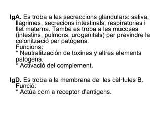 IgA. Es troba a les secreccions glandulars: saliva,
llàgrimes, secrecions intestinals, respiratories i
llet materna. També es troba a les mucoses
(intestins, pulmons, urogenitals) per previndre la
colonització per patògens.
Funcions:
* Neutralitzación de toxines y altres elements
patogens.
* Activació del complement.
IgD. Es troba a la membrana de les cèl·lules B.
Funció:
* Actúa com a receptor d'antigens.
 