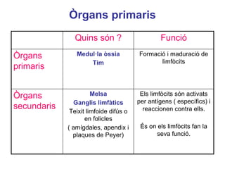 Òrgans primaris
Els limfòcits són activats
per antígens ( específics) i
reaccionen contra ells.
És on els limfòcits fan la
seva funció.
Melsa
Ganglis limfàtics
Teixit limfoide difús o
en folicles
( amígdales, apendix i
plaques de Peyer)
Òrgans
secundaris
Formació i maduració de
limfòcits
Medul·la òssia
Tim
Òrgans
primaris
FuncióQuins són ?
 