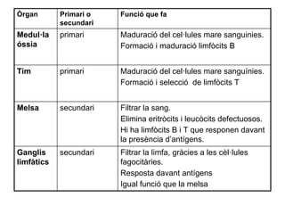 Maduració del cel·lules mare sanguínies.
Formació i selecció de limfòcits T
primariTim
Filtrar la sang.
Elimina eritròcits i leucòcits defectuosos.
Hi ha limfòcits B i T que responen davant
la presència d’antígens.
secundariMelsa
Filtrar la limfa, gràcies a les cèl·lules
fagocitàries.
Resposta davant antígens
Igual funció que la melsa
secundariGanglis
limfàtics
Maduració del cel·lules mare sanguinies.
Formació i maduració limfòcits B
primariMedul·la
óssia
Funció que faPrimari o
secundari
Òrgan
 
