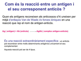 Com és la reacció entre un antígen i
el seu corresponent anticòs ?
Quan els antígens reconeixen als anticossos s’hi uneixen per
mitjà d’enllaços Van de Waals i/o forces iòniques en una
reacció que rep el nom de antigen-anticós.
Ag ( antigen) + Ab (anticós) AgAb ( complex antigen-anticós)
És una reacció extraordinàriament específica : un anticós
pot reconèixer entre molts determinants antigènics unicament el seu
complementari.
Aquesta reacció pot ser de 4 tipus.
 