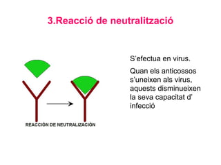 3.Reacció de neutralització
S’efectua en virus.
Quan els anticossos
s’uneixen als virus,
aquests disminueixen
la seva capacitat d’
infecció
 