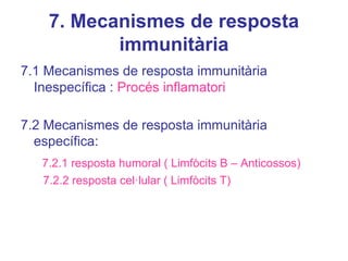 7. Mecanismes de resposta
immunitària
7.1 Mecanismes de resposta immunitària
Inespecífica : Procés inflamatori
7.2 Mecanismes de resposta immunitària
específica:
7.2.1 resposta humoral ( Limfòcits B – Anticossos)
7.2.2 resposta cel·lular ( Limfòcits T)
 