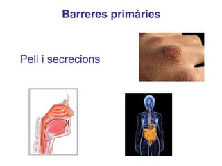 Barreres primàries
Pell i secrecions
 