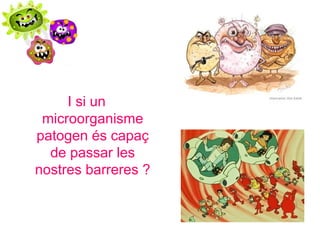 I si un
microorganisme
patogen és capaç
de passar les
nostres barreres ?
 
