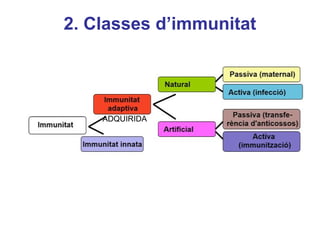2. Classes d’immunitat
ADQUIRIDA
 