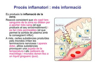 Es produeix la inflamació de la
zona.
Reacció consistent que els capil·lars
sanguinis de la zona es dilaten per
a aportar més sang (el que
produeix el seu envermelliment) i
es fan més permeables (el que
permet la sortida de plasma amb
la consegüent inflor).
A més, certes substàncies produïdes
pels microbis irriten les
terminacions nervioses i apareix
dolor, altres substàncies
provoquen una pujada de la
temperatura i els cadàvers de
macròfags i microbis donen lloc a
un líquid groguenc (pus).
Procés inflamatori : més informació
 