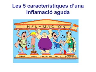 Les 5 característiques d’una
inflamació aguda
 