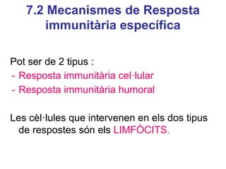 7.2 Mecanismes de Resposta
immunitària específica
Pot ser de 2 tipus :
- Resposta immunitària cel·lular
- Resposta immunitària humoral
Les cèl·lules que intervenen en els dos tipus
de respostes són els LIMFÒCITS.
 
