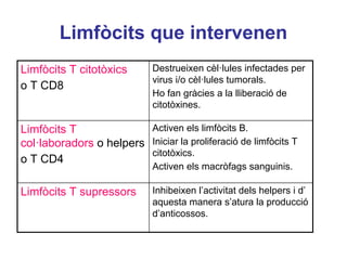 Limfòcits que intervenen
Inhibeixen l’activitat dels helpers i d’
aquesta manera s’atura la producció
d’anticossos.
Limfòcits T supressors
Activen els limfòcits B.
Iniciar la proliferació de limfòcits T
citotòxics.
Activen els macròfags sanguinis.
Limfòcits T
col·laboradors o helpers
o T CD4
Destrueixen cèl·lules infectades per
virus i/o cèl·lules tumorals.
Ho fan gràcies a la lliberació de
citotòxines.
Limfòcits T citotòxics
o T CD8
 