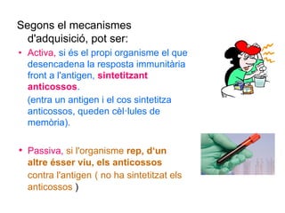 Segons el mecanismes
d'adquisició, pot ser:
• Activa, si és el propi organisme el que
desencadena la resposta immunitària
front a l'antigen, sintetitzant
anticossos.
(entra un antigen i el cos sintetitza
anticossos, queden cèl·lules de
memòria).
• Passiva, si l'organisme rep, d‘un
altre ésser viu, els anticossos
contra l'antigen ( no ha sintetitzat els
anticossos )
 