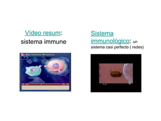 Vídeo resum:
sistema immune
Sistema
immunològico: un
sistema casi perfecto ( redes)
 