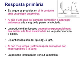 Resposta primària
• És la que es produiex en el 1r contacte
amb un antigen determinat.
• Al cap d’una dies del contacte comencen a aparèixer
anticossos a la sang de la persona infectada.
• La produció d’anticossos augmenta exponencialment
fins arribar a la fase estacionària en la qual comencen
a baixar.
• Els anticossos són del tipus IgG i IgM.
• Al cap d’un temps ( setmanas) els anticossos son
imperceptibles a la sang.
• La persona infectada ha vençut la malaltia.
 