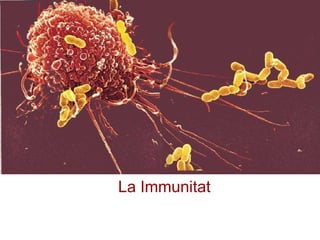 La immunitat
La Immunitat
 