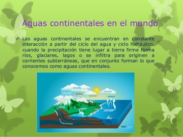 Cual Es La Importancia Del Agua Continental En Nuestra Vida