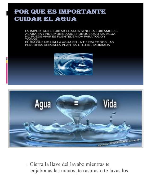 La importancia de cuidar el agua