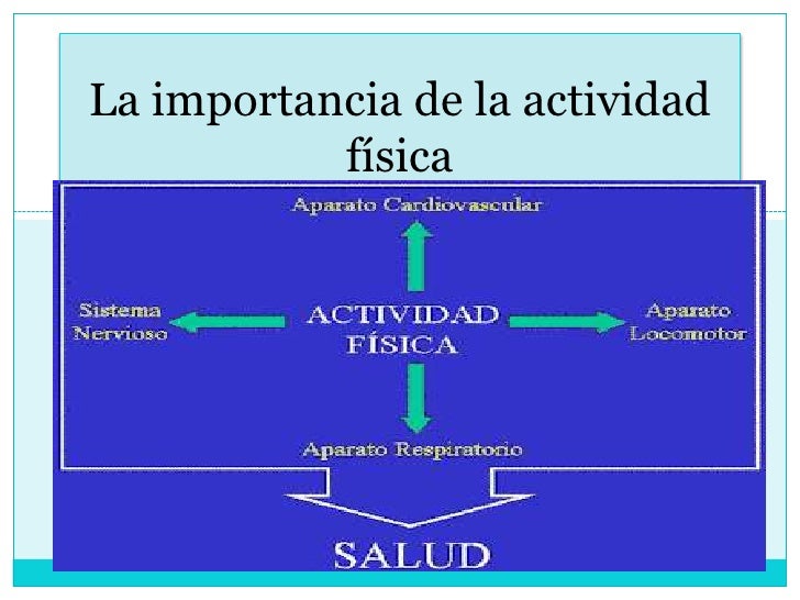 La importancia de la actividad física La importancia de la actividad física