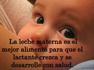  La leche materna es el mejor alimento para que el lactante crezca y se desarrolle con salud. 