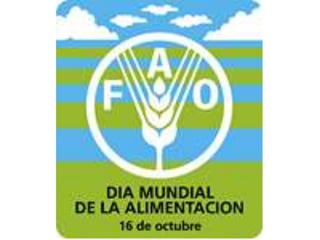 La importancia de la alimentaciòn (1)