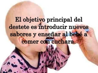 El objetivo principal del destete es introducir nuevos sabores y enseñar al bebé a comer con cuchara.