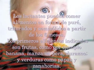 Los lactantes pueden comer alimentos en forma de puré, triturados y semisólidos a partir de los 6 meses.Los primeros alimentos indicados son frutas, como por ejemplo banana, manzana, pera, durazno; y verduras como papas y zanahorias.     