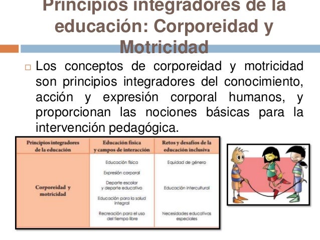 La importancia de la educación física