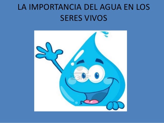 la importancia del agua en los seres vivos importancia del agua