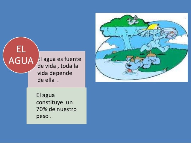 La importancia del agua en los seres vivos