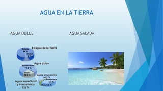 AGUA EN LA TIERRA
AGUA DULCE AGUA SALADA
 